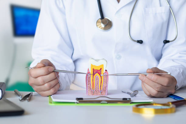 Best Cracked Tooth Emergency Dentist  in Hot Springs, SD